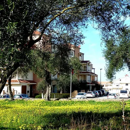 Apartment Borgo Degli Ulivi